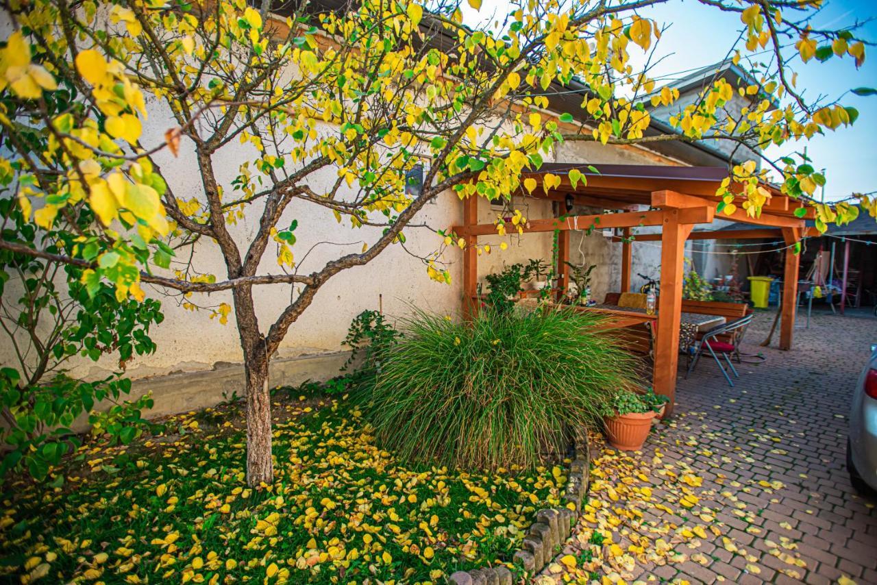 Ferienwohnung Lizak Berehowe Exterior foto